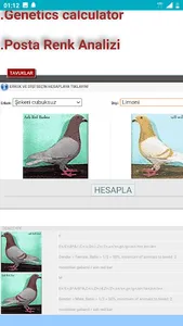 Posta Güvercin Rehberi screenshot 4