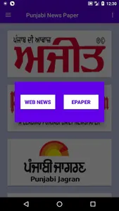 Punjabi News Papers - ePapers screenshot 5