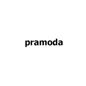 Pramoda Enterprises screenshot 3