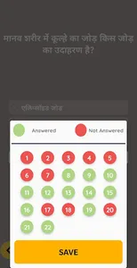 Assessment screenshot 5