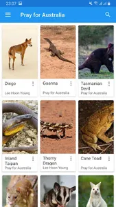 Pray for Australia screenshot 3