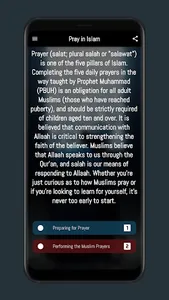 Pray in Islam screenshot 0