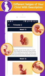 Pregnancy calculator, duedate screenshot 13