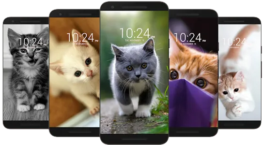 Kitten & Cute Cat Wallpaper HD screenshot 1