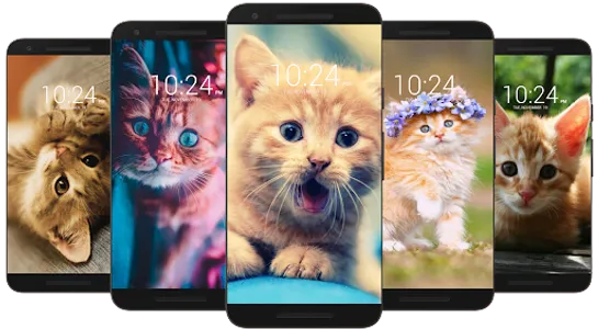 Kitten & Cute Cat Wallpaper HD screenshot 12