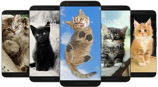 Kitten & Cute Cat Wallpaper HD screenshot 3