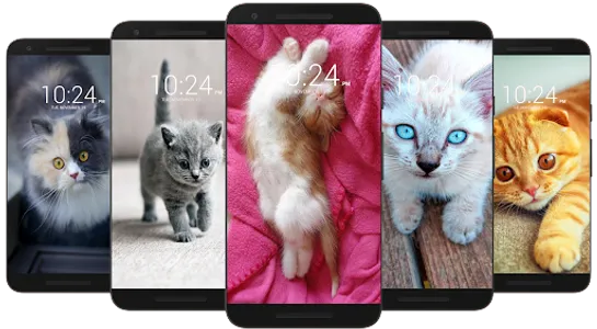 Kitten & Cute Cat Wallpaper HD screenshot 7