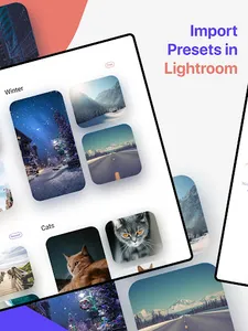 Presetion: Presets for Lightro screenshot 5