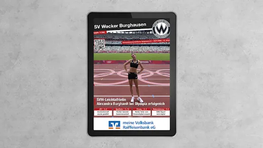 SVW screenshot 7