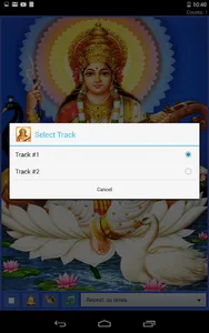 Maa Saraswati Mantra screenshot 5