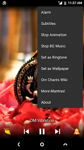 Om Chants Meditation HD screenshot 4