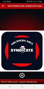 SOUTHERN SOUL SYNDICATE RADIO screenshot 0