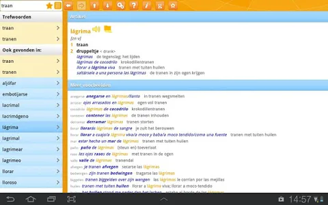 Woordenboek Spaans Prisma screenshot 6