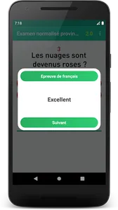 Examen normalisé :  français screenshot 5