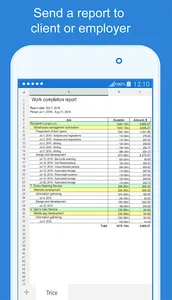 Trice - work time tracker app  screenshot 2