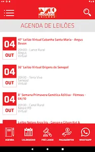 Portal Programa Leilões screenshot 11