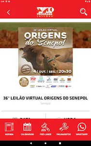 Portal Programa Leilões screenshot 12