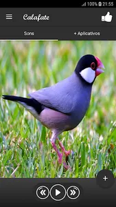 Calafate screenshot 0