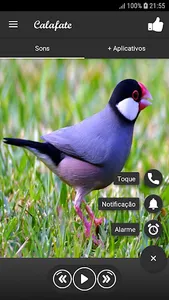 Calafate screenshot 1