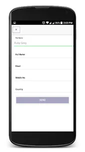 Cermalvisa screenshot 6