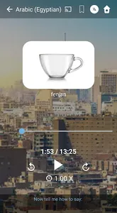 Learn Egyptian Arabic. Speak E screenshot 1
