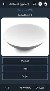 Learn Egyptian Arabic. Speak E screenshot 5
