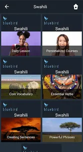 Learn Swahili. Speak Swahili.  screenshot 0