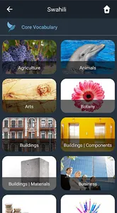 Learn Swahili. Speak Swahili.  screenshot 1
