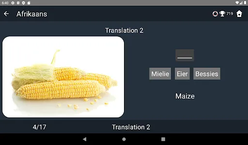Afrikaans Language Tests screenshot 10