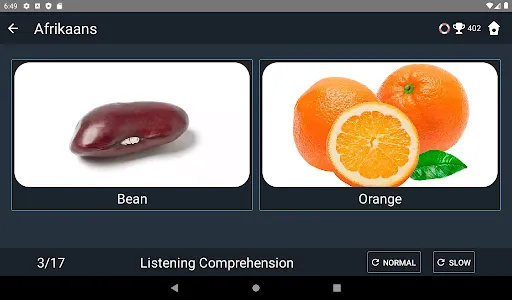 Afrikaans Language Tests screenshot 11