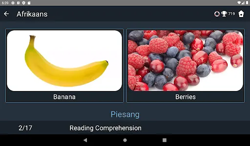 Afrikaans Language Tests screenshot 12