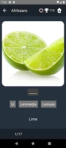 Afrikaans Language Tests screenshot 3