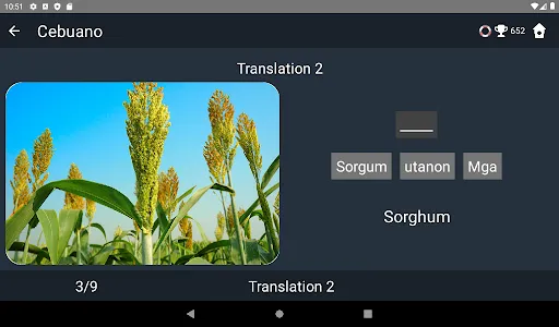 Cebuano Language Tests screenshot 11