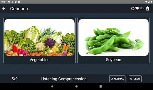 Cebuano Language Tests screenshot 12