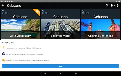 Cebuano Language Tests screenshot 18