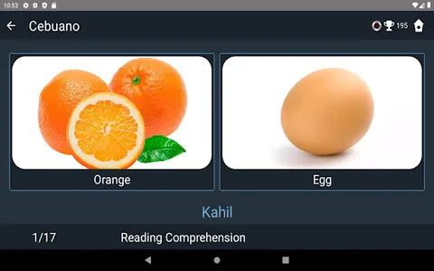 Cebuano Language Tests screenshot 21