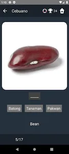 Cebuano Language Tests screenshot 3