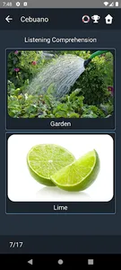 Cebuano Language Tests screenshot 4