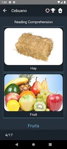 Cebuano Language Tests screenshot 5