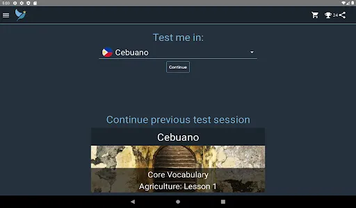 Cebuano Language Tests screenshot 8