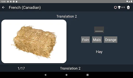 Canadian French Language Tests screenshot 11