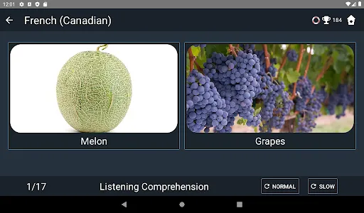 Canadian French Language Tests screenshot 12