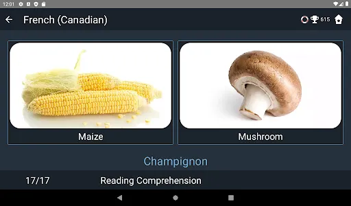 Canadian French Language Tests screenshot 13