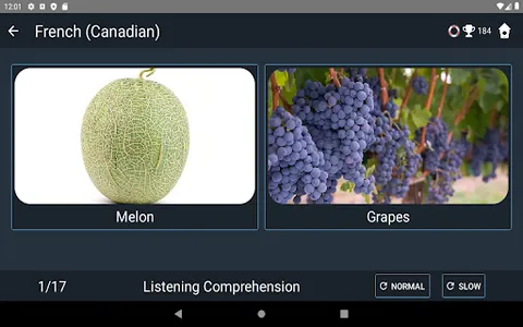 Canadian French Language Tests screenshot 20