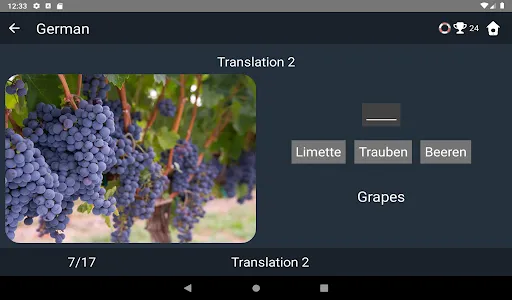 German Language Tests screenshot 11