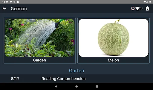 German Language Tests screenshot 13