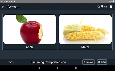 German Language Tests screenshot 20
