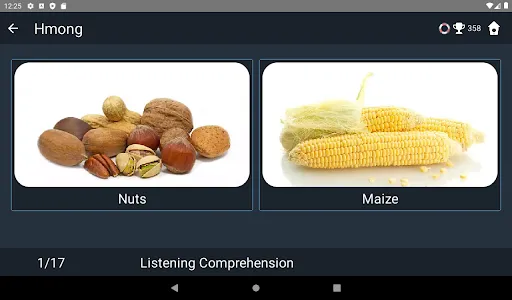 Hmong Language Tests screenshot 13