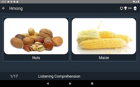 Hmong Language Tests screenshot 20