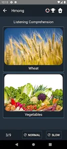 Hmong Language Tests screenshot 4